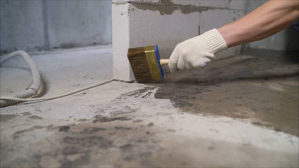 Top rated local Waterproofing specialists in West Lebanon, IN